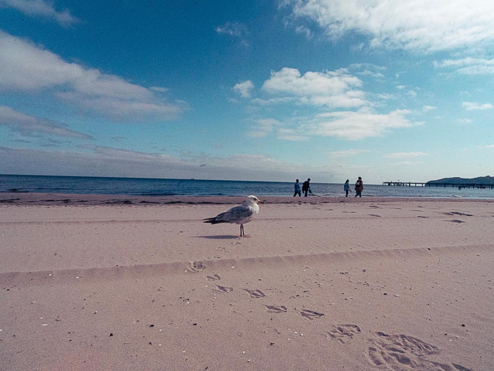 Gaestehaus Astrids Strandmuschel Binz Dış mekan fotoğraf